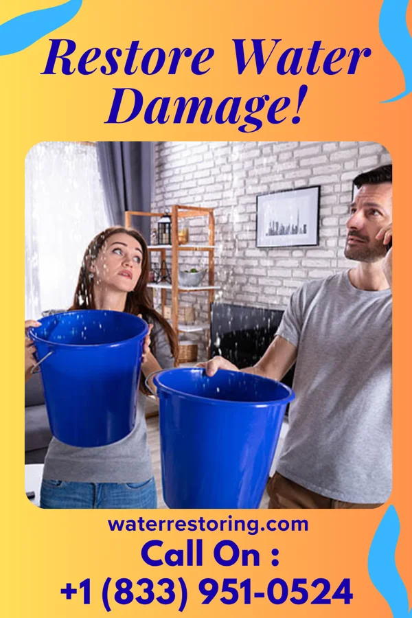 water restoration New Drying Experts Burlington
