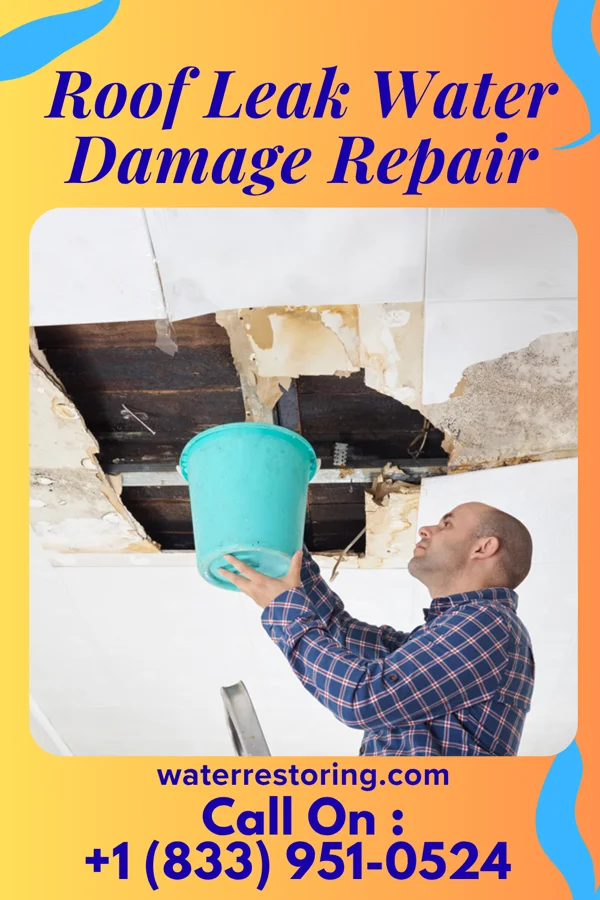 Roof Leak Water Damage Repair in Burlington, WY